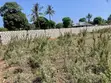 Prime Quarter-Acre Plot for Sale in Kizingo - 4
