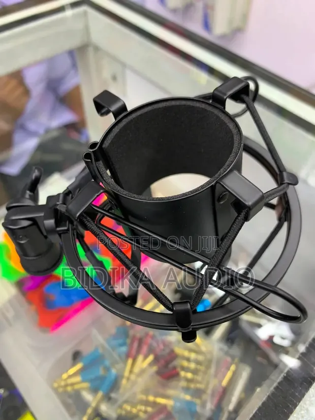Microphone Shock Mount for Large-Diaphragm Studio Mics - 1