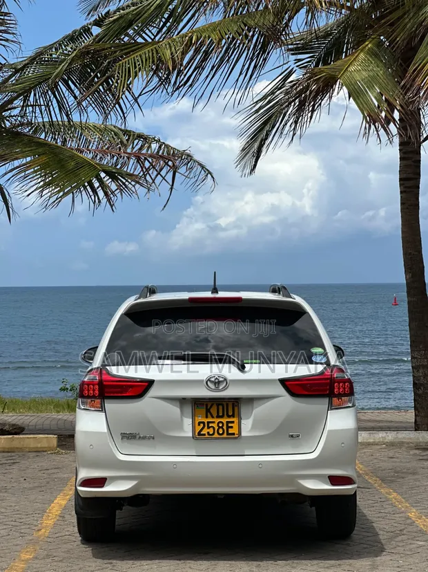Toyota Corolla Fielder 2019 Pearl - 1