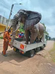 Transport and Moving Services - 4