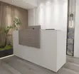 1.2M Customized Office Desk - 4