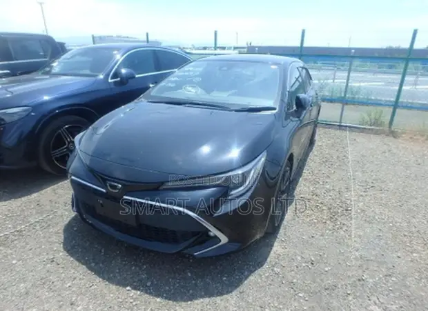 Toyota Corolla 2019 Matt Black - 1