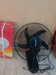 Ipcone Wall Fan - Brand New - 2
