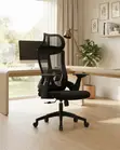 Lama High Back Fabric Orthopedic Executive Chair - 2