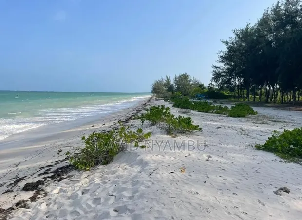 Plots for Sale in Galu Kinondo, Diani South Coast - 1