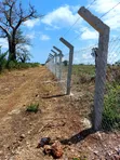 Plots for Sale in Galu Kinondo, Diani South Coast - 3