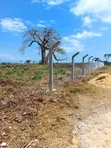 Plots for Sale in Galu Kinondo, Diani South Coast - 4