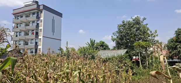 75x100 Plot for Sale - Kabete Gathiga - 1