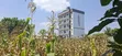 75x100 Plot for Sale - Kabete Gathiga - 5