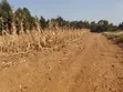 50x100 Residential Plots for Sale - Kikuyu Kamangu - 2
