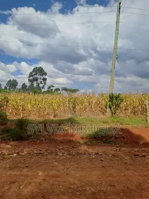 Prime 50x100 Plot for Sale in Gwakung'u – 300m Off Highway