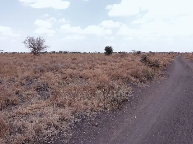 4 Acres Farmland in Kajiado, Ildamat-Oloosuiyan - 1