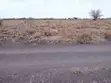 4 Acres Farmland in Kajiado, Ildamat-Oloosuiyan - 2