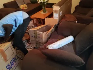 Huduma za Usafirishaji na Logistics