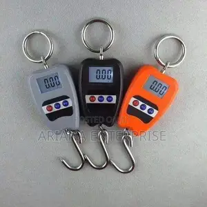 Portable Mini Crane Digital Hanging Scale 200kg
