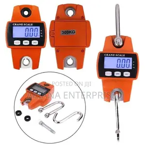 300KG Industrial Digital Crane Weighing Scale