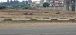 100x100 Plot for Sale - Kikuyu Thogoto - 1