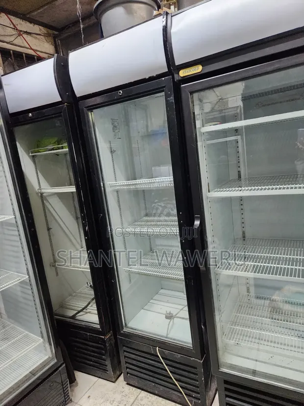 450L Canopy Display Fridge - 1