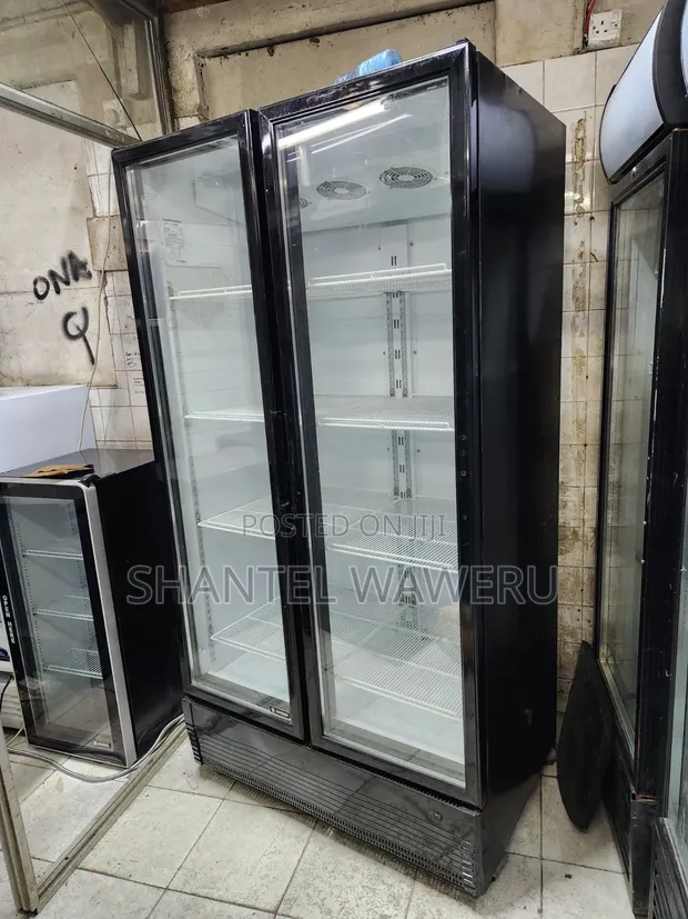 Two Door Display Refrigerator/Chiller - 1000 Litres - 1