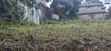 50x100 Residential Plot for Sale - Ngando, Dagoreti - 4