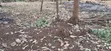 50x100 Residential Plot for Sale - Ngando, Dagoreti - 5