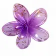Moana Claw Hair Clips - 1