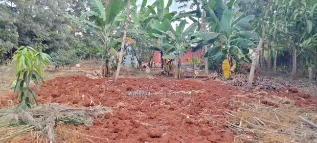 Prime Quarter Acre Land for Sale in Kirinyaga Ngucui Kimbimbi - 1