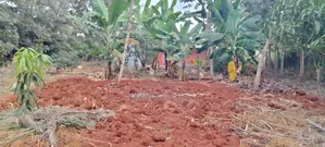 Prime Quarter Acre Land for Sale in Kirinyaga Ngucui Kimbimbi