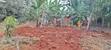 Prime Quarter Acre Land for Sale in Kirinyaga Ngucui Kimbimbi - 1