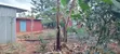 Prime Quarter Acre Land for Sale in Kirinyaga Ngucui Kimbimbi - 2