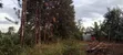 Prime Quarter Acre Land for Sale in Kirinyaga Ngucui Kimbimbi - 3