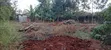 Prime Quarter Acre Land for Sale in Kirinyaga Ngucui Kimbimbi - 4