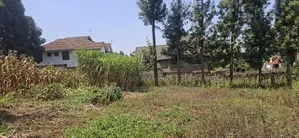 1/2 Acre Land for Sale - Kikuyu Thamanda, Muguga