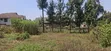 1/2 Acre Land for Sale - Kikuyu Thamanda, Muguga - 3