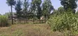 1/2 Acre Land for Sale - Kikuyu Thamanda, Muguga - 5