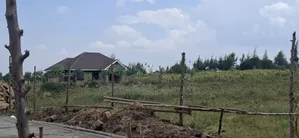 50x100 Residential Plots for Sale - Langa Langa, Gilgil