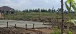 50x100 Residential Plots for Sale - Langa Langa, Gilgil - 3