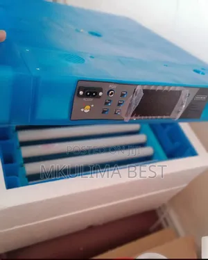 Automatic Egg Incubator - 64 Egg Capacity