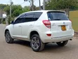 Toyota RAV4 2015 Pearl - 3