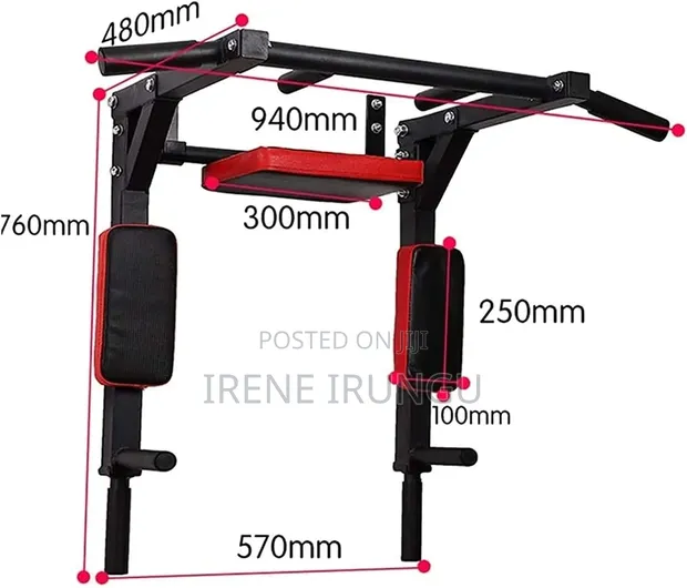 Wall Mounted Pull-Up and Dip Station - 1