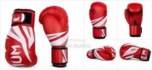Venum Boxing Gloves - All Sizes