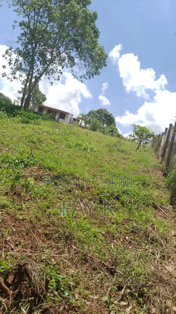 Migaa Half Acre Plot for Sale - 1