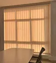 Vertical Blinds for Office Windows - 1
