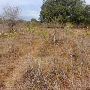 Eneo la Eka 35 kwa Ajili ya Kuuzwa Dakacha, Malindi