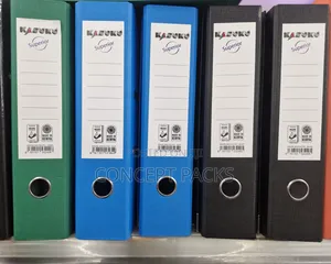 Kasuku PVC Box Files (10pcs)