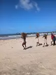 East African Tour Guide Services - 1