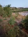 30ft x 50ft Plot for Sale in Junda (Mother Title Available) - 2