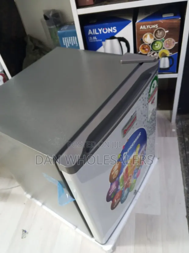 50L Premier Fridge Silver Mini Cooler - 1