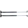 Toyota Probox Boot Shocks (Left & Right) - 2