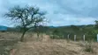 Mixed-Use Land for Sale in Thatha Hills, Matuu - 1